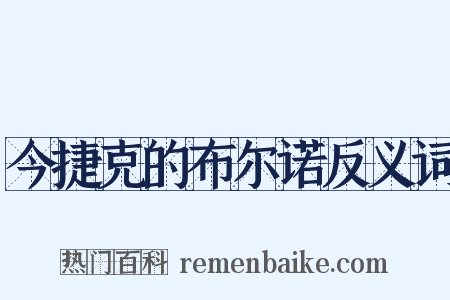 今捷克的布尔诺反义词是什么意思的图片
